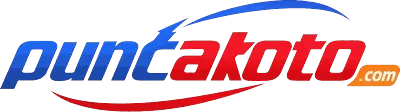 puncaktoto